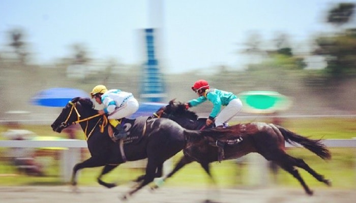 jacks casino and sports png bcb
