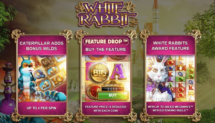 Buy Bonus Feature at White Rabbit