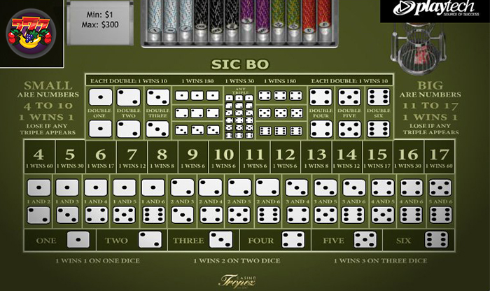 Sic Bo Practice