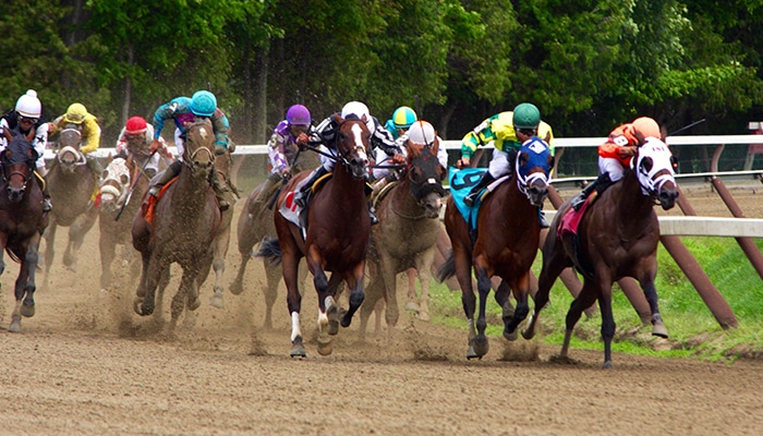 different ways of betting on sport