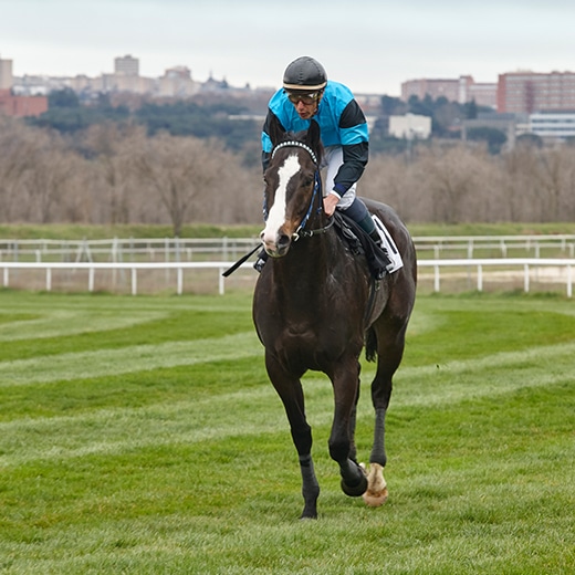 Horse racing