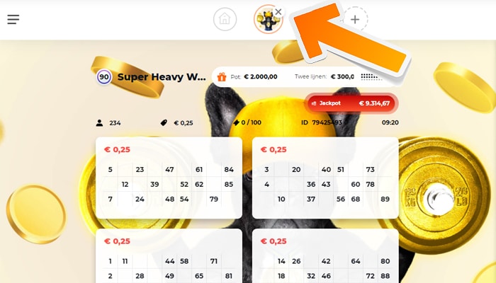 Super Heavy Weight Fair Play Online
