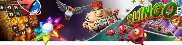 slingo banner