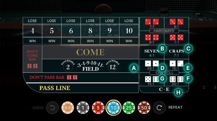 ONE ROLL bets explained