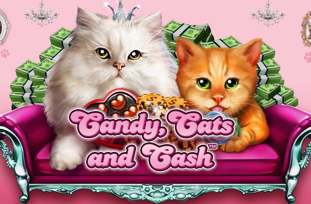 A well-known game from Wild Streak Gaming is Candy, Cats and Cash.