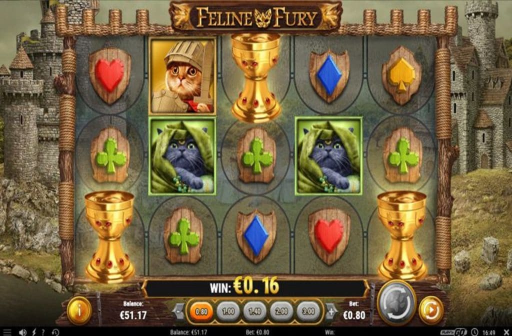 Game provider Play'n GO developed the Feline Fury slot machine.
